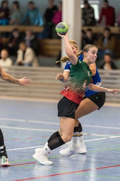Bild 159 - F HSG Kremperheide/Muensterdorf - HSG Holstein Kiel/Kronshagen : Ergebnis: 31:26